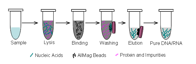 1691724889919115.png Flower Chart.png